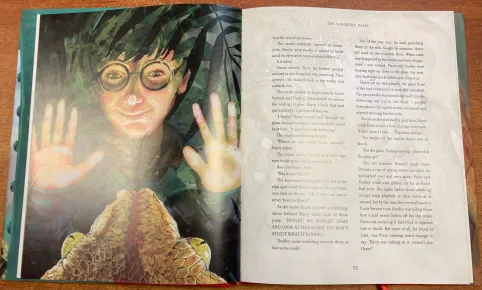 洋書Harry Potter : Illustrated Edition 5冊 Harry Potter illustrated by Jim Kay на английском, Bloomsbury box